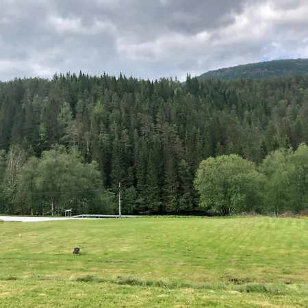 Doskelandslia * Sygna